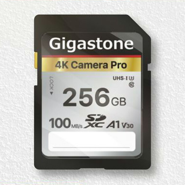 Gigastone｜ギガ石ころ SDXC記憶装置歌留多 256GB Class10 UHS-I U3 V30（ファスナーうしろ側荷拵え） GJSXR4K-256GV3A1