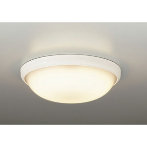 ダイコー LED風呂場灯【灯し火工事専用】 DXL-81191B DAIKO [DXL81191B]