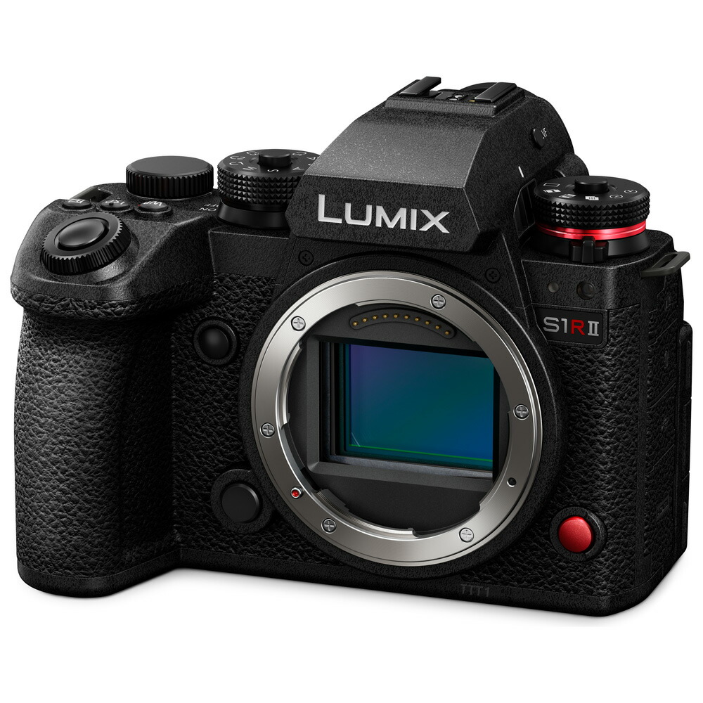 パナソニック 銀鏡受け答え一眼写真機「LUMIX DC-S1RM2」上半身 DC-S1RM2