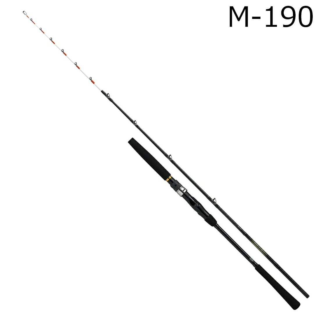 ダイワ 25 ビシアジ X M-190・J 6：4調子 25ビシアジX M-190 DAIWA 船竿