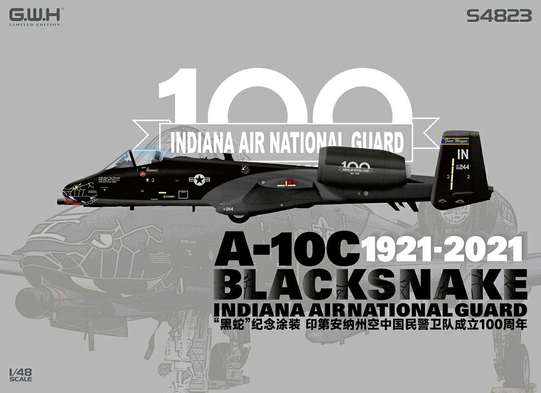 グレートウォールホビー 1/48 A-10C インディアナ州空軍100周年記念塗装【S4823】 プラモデル