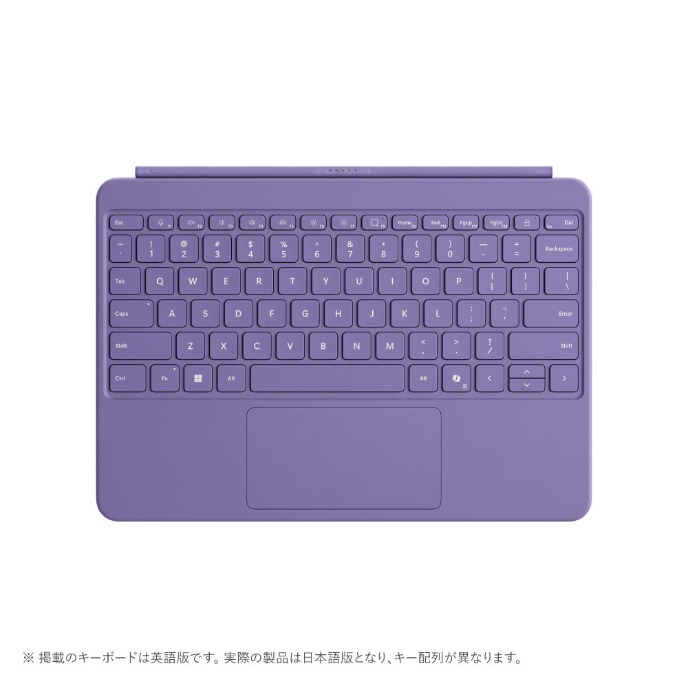 マイクロソフト Surface Pro 12 in 鍵盤（相撲取り草）  EP2/32726