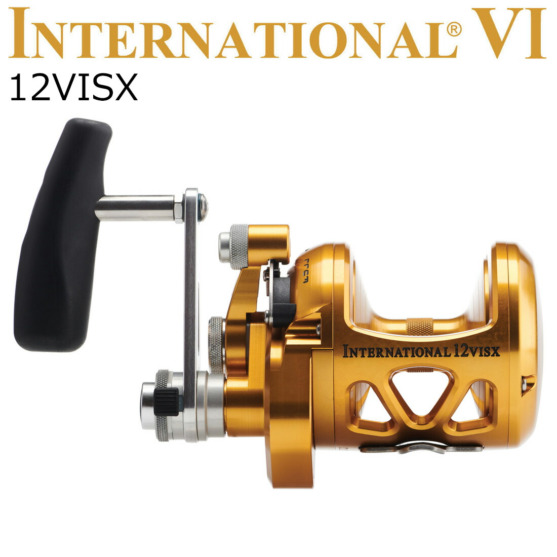 PENN 国際的 VI 12VISX 国際的6 12VISX 書き込み PENN International VISX 12VISX