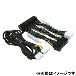 データシステム レクサス車用エアサス＆アクティブサスコントローラー用車種別専用ハーネス H-087H Data system