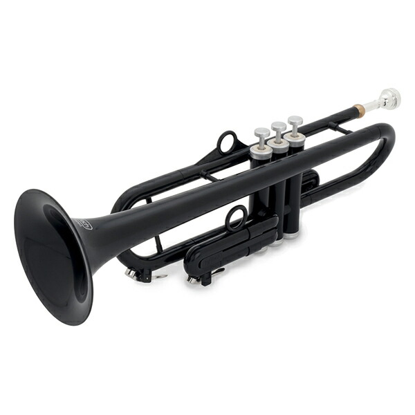 楽天市場 Ptrumpet1htb Black Pinstrument ピー トランペット ブラック Ptrumpet Hytech Joshin Web 家電とpcの大型専門店 楽天市場 Ptrumpet1htb Black Pinstrument ピー トランペット ブラック Ptrumpet Hytech Joshin Web 家電とpcの大型専門店