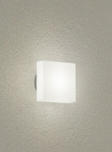 ダイコー LEDポーチライト【電気工事専用】 DXL-81340C DAIKO [DXL81340C]