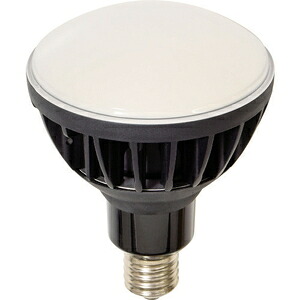 日動工業 LED交換球 L50V2-J110BK-50K [L50V2J110BK50K]