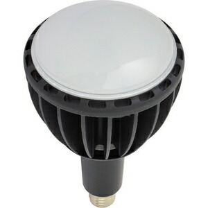 日動工業 LED交換球 L100W-E39J-WBK-50K [L100WE39JWBK50K]