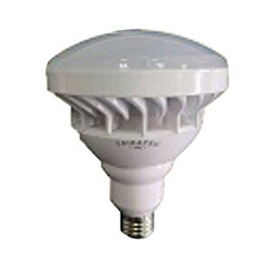 タイカツ LED投光器 替ランプ 口金E26 TK-LED200LP TK-LED 200シリーズ