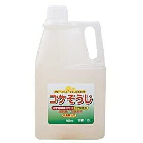 パネフリ工業 コケそうじ業務用濃縮液 2L PK-2055018