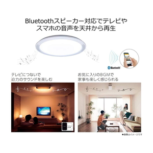 帯電防止処理加工 Bluetoothスピーカー付きシーリングライト 12畳 HH