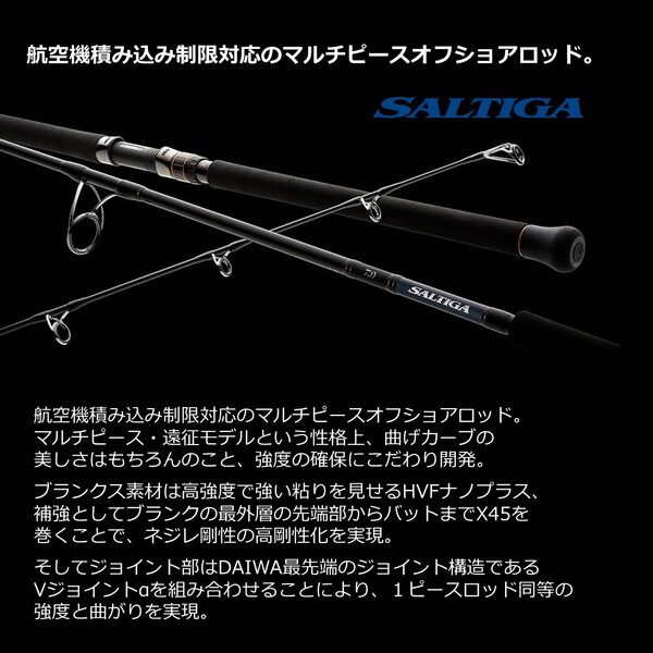 SALTIGA AP ソルティガ AP AIR ソルティガ 6番 エアポータブル DAIWA