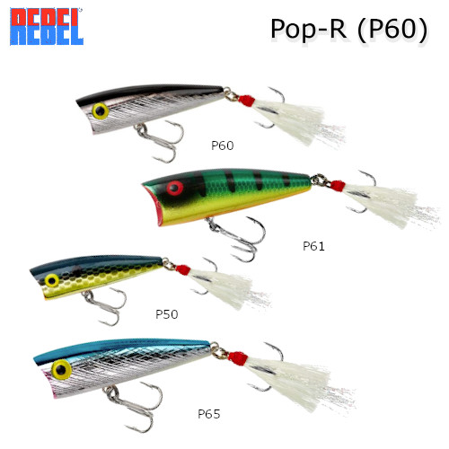 楽天市場】【予約】3個セット【取寄せ商品】REBEL レーベル Pop-R