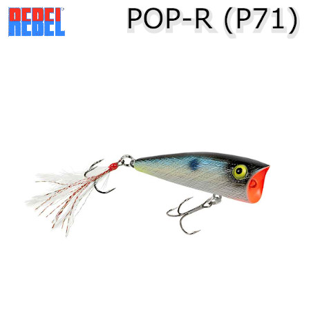 レーベル POP-R ポップR P60 アソートセット POP-R P60/REBEL(レーベル)【使い方＆インプレッション】 | Lure