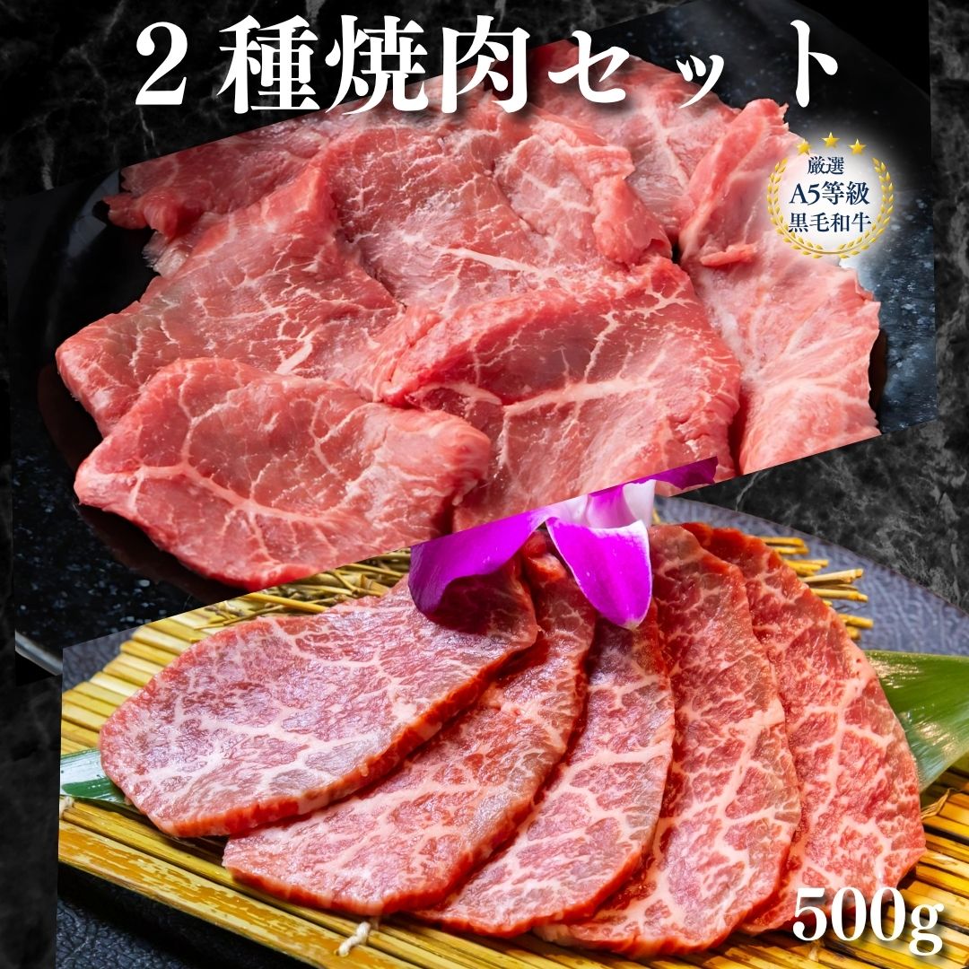 A5等級 黒毛和牛 2種 焼肉 セット ロース 肩三角 2種 500g 2人前 3人前 食べ比べセット 希少部位 ギフト お中元 御中元 A5ランク A5黒毛和牛 牛肉 詰め合わせ お肉セット プレゼント 贈答用 誕生日 内祝 送料無料 贈り物 焼き肉 お肉ギフト お祝い 誕生日 焼肉ギフト|焼肉&BAR 十炭 店