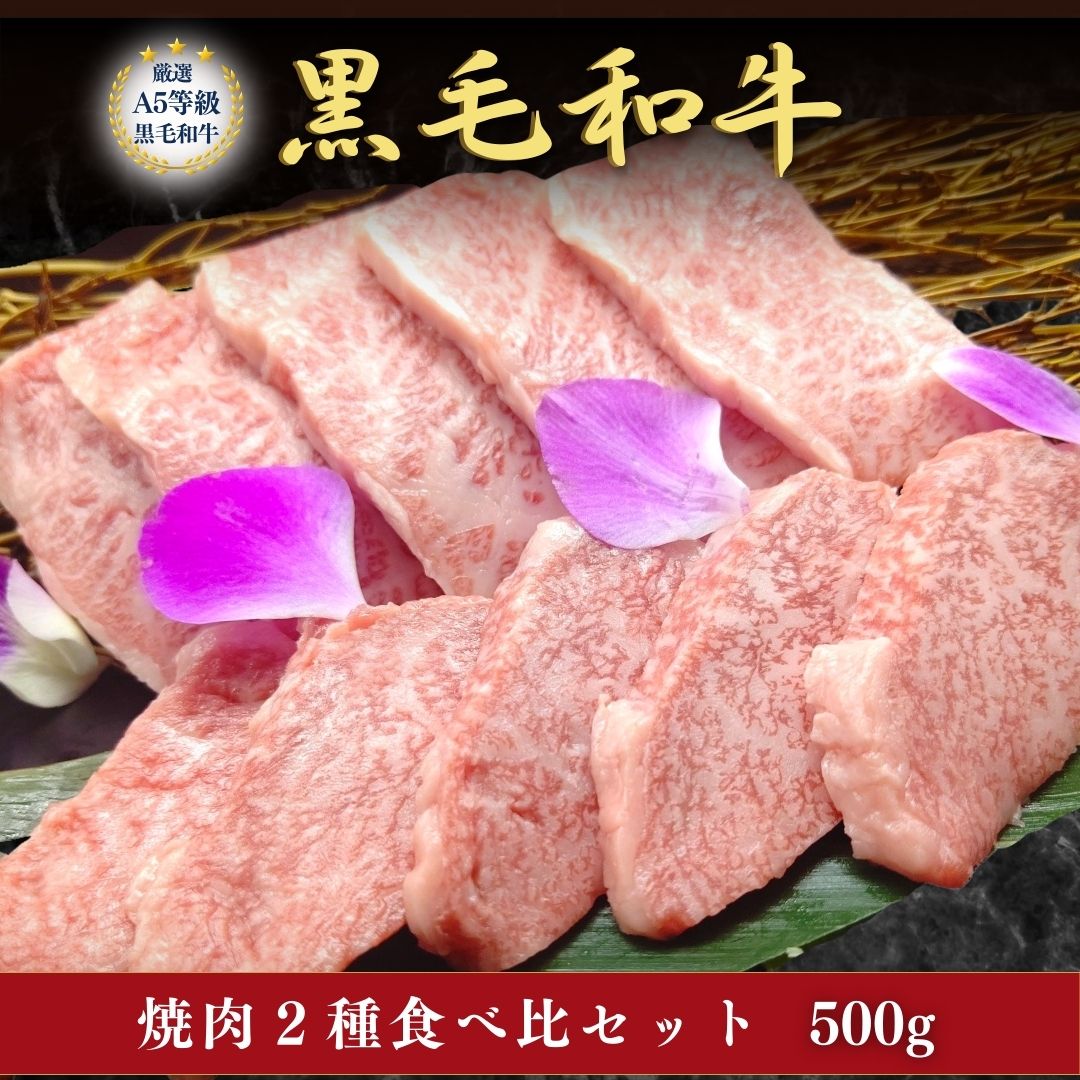 A5等級黒毛和牛2種セット 上カルビ 上ロース 焼肉 500g 2人前 3人前 グA5等級 黒毛和牛 ギフト 焼肉セット A5ランク A5黒毛和牛 牛肉 お肉セット プレゼント 贈答用 誕生日 内祝 熨斗対応 送料無料 十炭 ギフト 贈り物 焼き肉 お肉ギフト お祝い 内祝 誕生日 焼肉ギフト