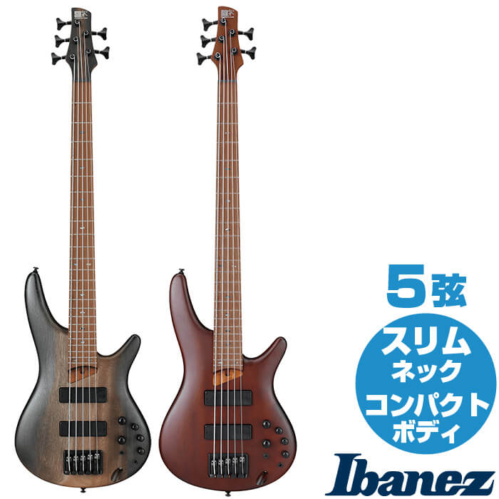 楽天市場 エレキベース アイバニーズ 5弦 Sr505e Ibanez ベース Jive ジャイブミュージック