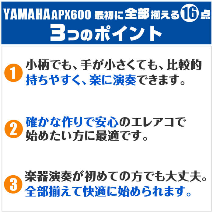 ヤマハAPX600初心者セット