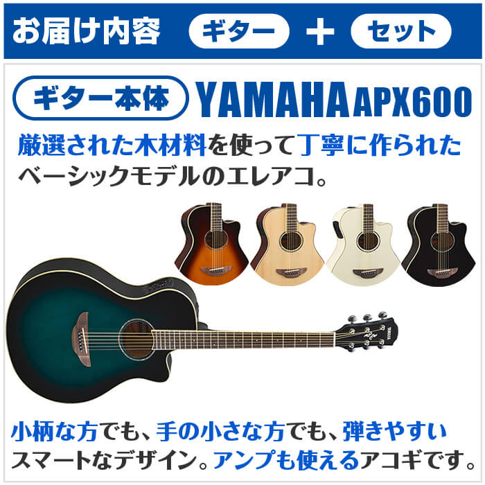 ヤマハAPX600初心者セット