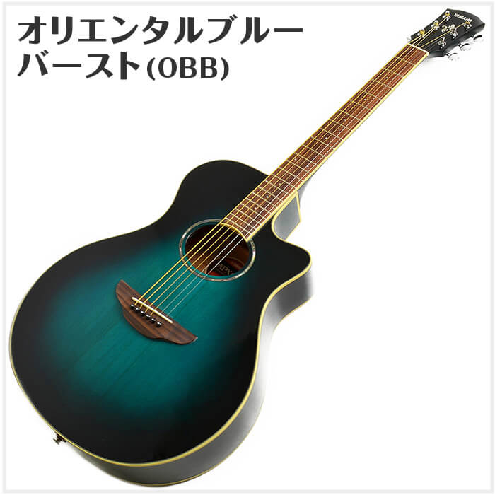 ヤマハAPX600初心者セット