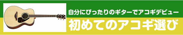 楽天市場】ベースケース エレキベース ケース ARIA ABC-300EB ベース ケース : ジャイブミュージック