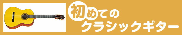 楽天市場】ベースケース エレキベース ケース ARIA ABC-300EB ベース ケース : ジャイブミュージック