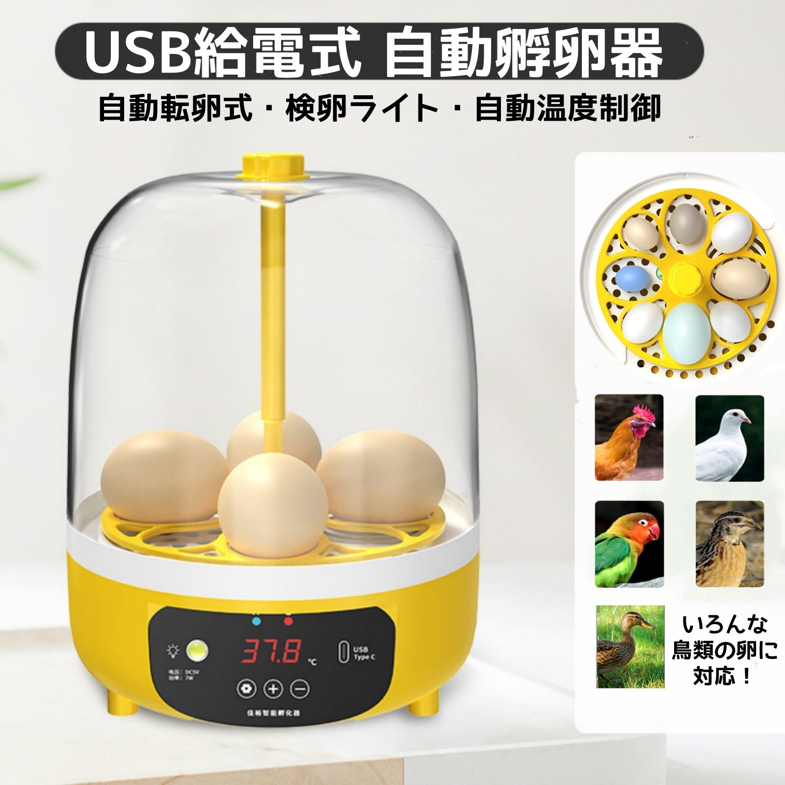 【楽天市場】孵卵器 自動転卵 孵化器 自動転卵 孵化器 インキュベーター 自動転卵式 検卵ライト 鳥類 にわとり 鶏 ミニ孵卵機 ふ卵器 ...