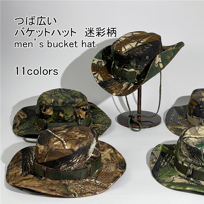 cajsg779.jpg