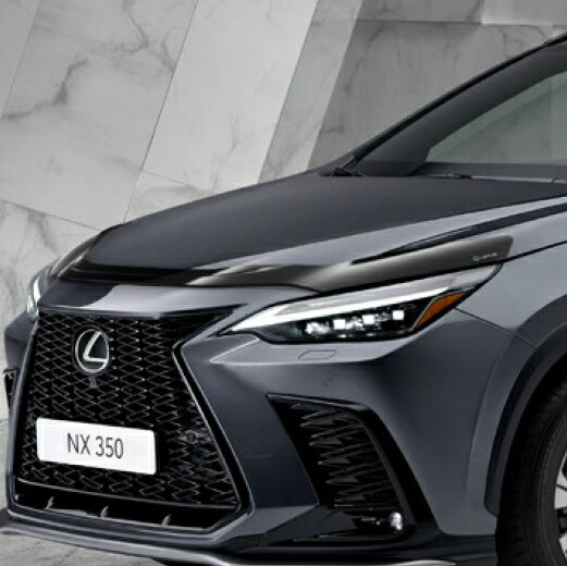 楽天市場】現行型（AZ20型）NX用 LEXUS純正 スカッフプレート