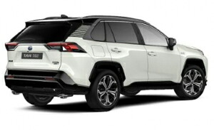 5代目（50系）RAV4用 トヨタ純正 エクステリアステッカーデコレーション ストライプ柄 Ｃピラー用左右セット
