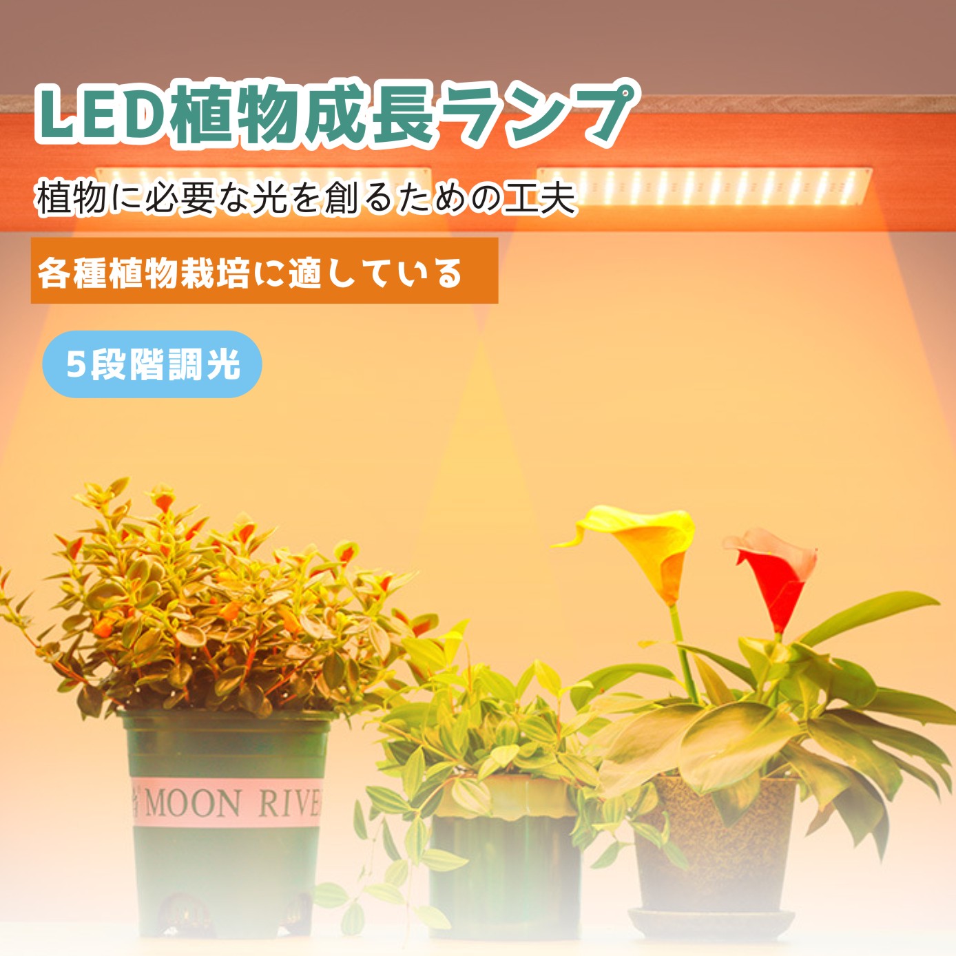 人気デザイナー 植物育成ライト 楽天市場】送料無料 フルスペクトル パネル LED その他