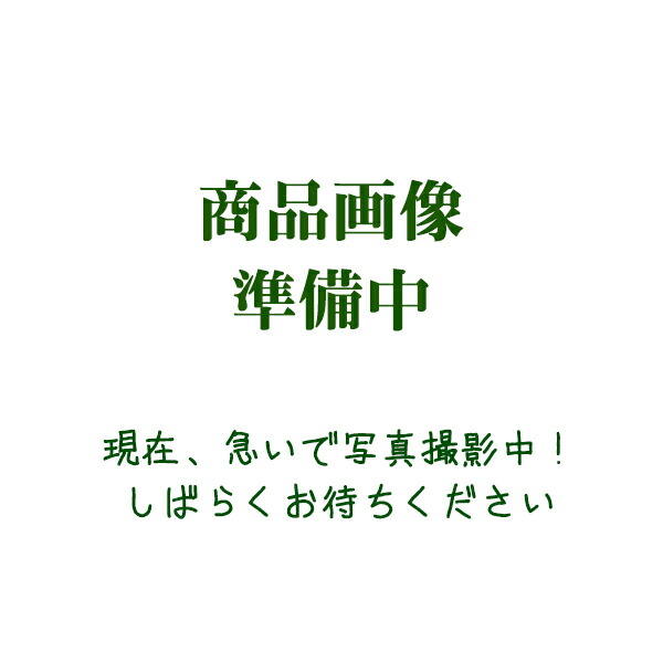 カークランドシグネチャー エンジンオイル 5W30 946ml x 6本 新品 カークランドシグネチャー エンジンオイル 5W30 946ml x 6本 新品