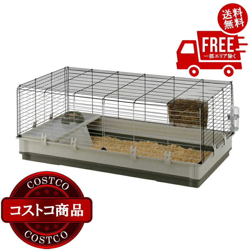最短翌日お届け  【MDHAGOVN5P4】 限定デザイン