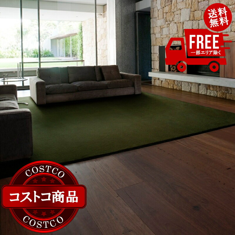 送料無料！(コストコ) スミノエ 防炎・防音・消臭ラグ スミトロンニューサキソニーラグ 261cm x 261cm グリーン　※ご注文後7-14日でお届けします 56,075円