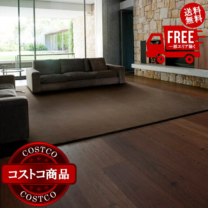 貨物輸送無料！(コストコ) スミノエ 防炎・防音・消臭引っ敷き スミトロンニューサキソニーラグ 261糎 x 352糎 赤銅色 ※ご申し付ける後7-14日でお届けします カーペット・ラグ-インテリア・寝具・収納-子供部屋用インテリア・寝具・収納