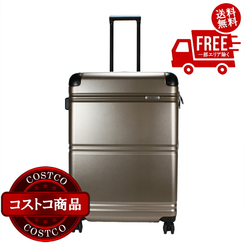 楽天市場】送料無料！(コストコ) デルセー アクセレイト 2個セット