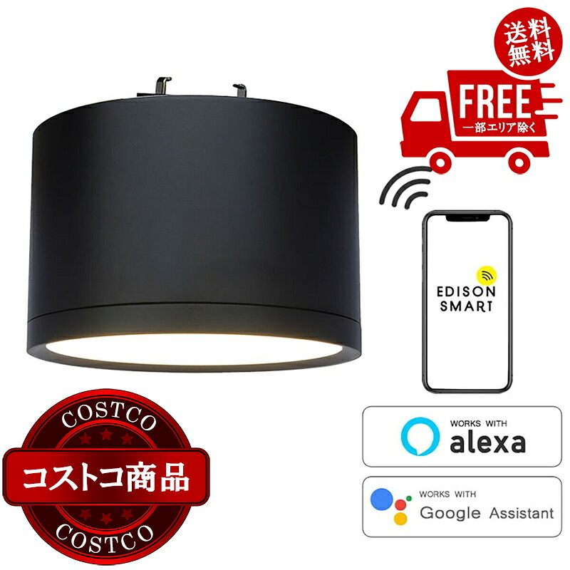 送料無料！(コストコ) Edison Smart（エジソンスマート）ミニシーリングライト 引っ掛けシーリング用 ブラック RST-TZ367LBK　※ご注文後5-14日でお届けします