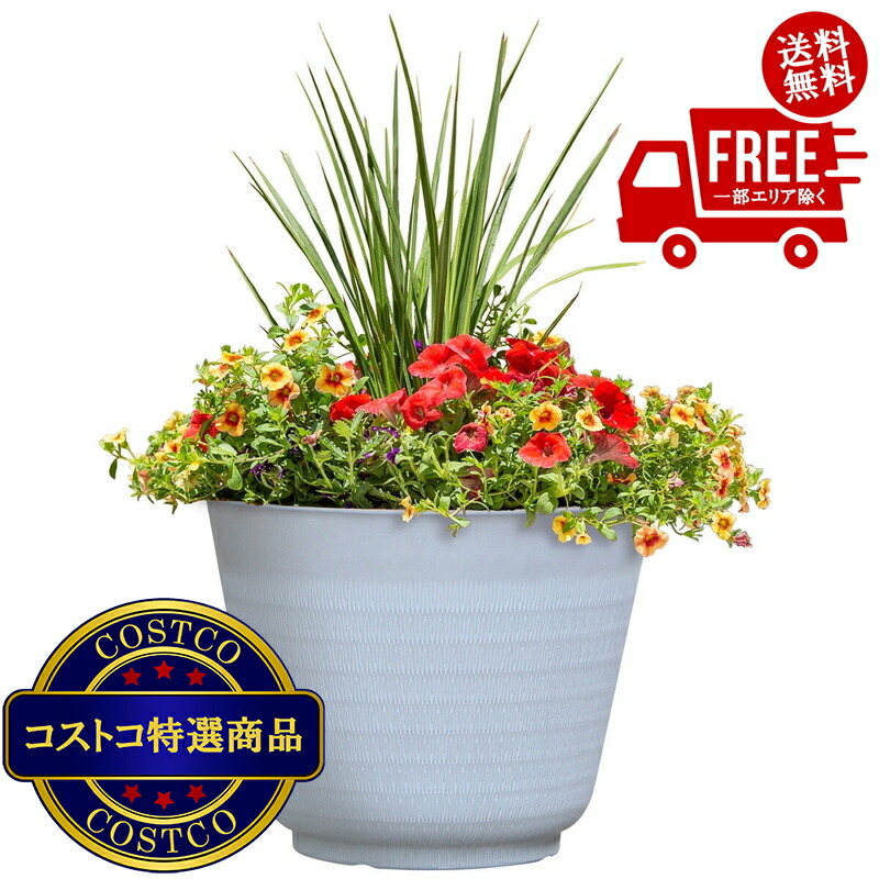 楽天市場】☆即納☆【COSTCO】コストコ通販 ワインバレルプランター 5