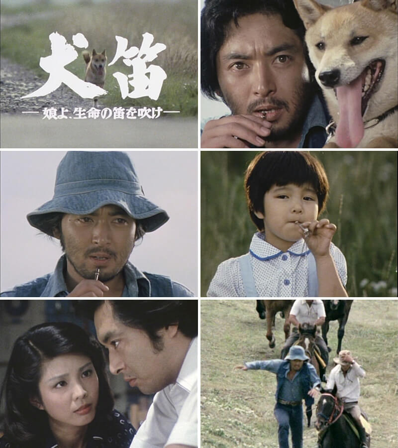 在庫限り 犬笛 娘よ 生命の笛を吹け コレクターズdvd 昭和の名作ライブラリー 第65集ベストフィールド 人気ブランドを Nsmakedonaca Org Rs
