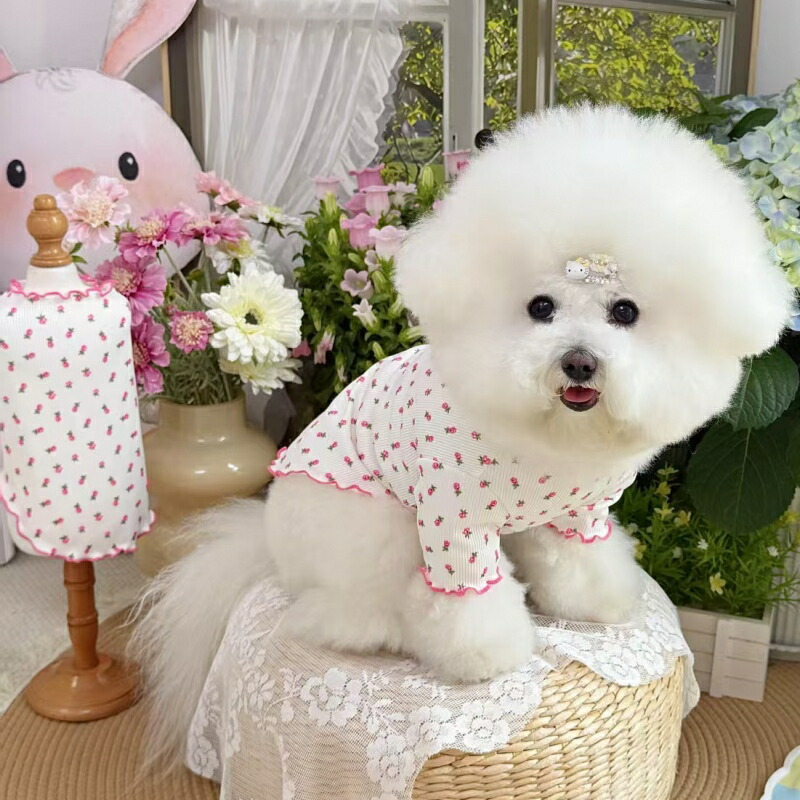 楽天市場】【26年春夏新品】ドッグウェア 犬服 犬用ウェア ペット 