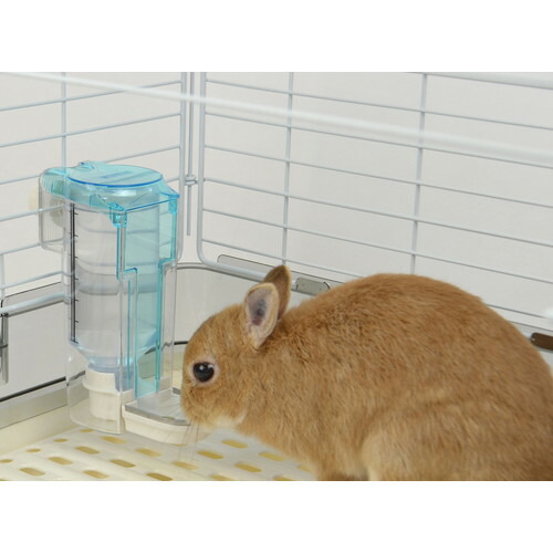 楽天市場 インサイド ディッシュドリンカーサンコー 三晃 Sanko うさぎ モルモット 小動物 給水器 皿型給水器 サイフォン式 サイフォン 皿 水 飲み いい肌発信 美 サイエンス