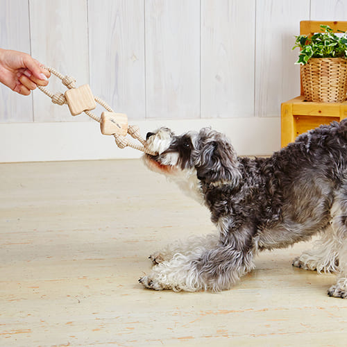 犬用おもちゃ ウッディロープトイ クロスadd Mate 犬 アドメイト