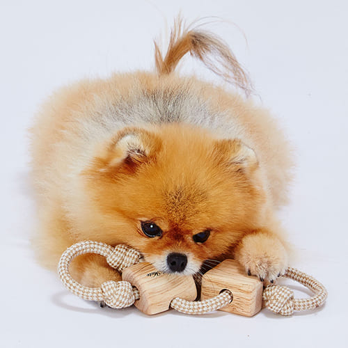 犬用おもちゃ ウッディロープトイ クロスadd Mate 犬 アドメイト