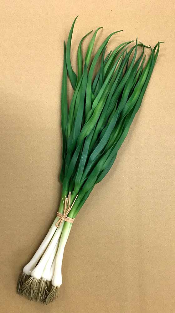【楽天市場】【食品サンプル・果物・野菜・フルーツ・ベジタブル】ねぎ6本束ワイヤーなし フェイクフード ディスプレイ：日本装飾造花株式会社 