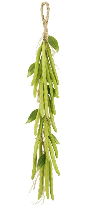 【楽天市場】【食品サンプル・果物・野菜・フルーツ・ベジタブル】ビーン ストリング X 21bc付 フェイクフード ディスプレイ：日本装飾造花株式会社 