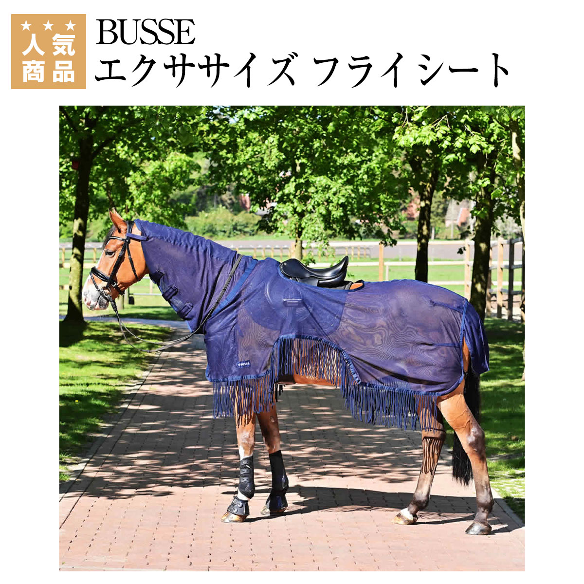 楽天市場】乗馬 馬着 BUSSE エクササイズ フライシート モスキート III 乗馬用品 馬具 : 乗馬用品専門店ジョセス