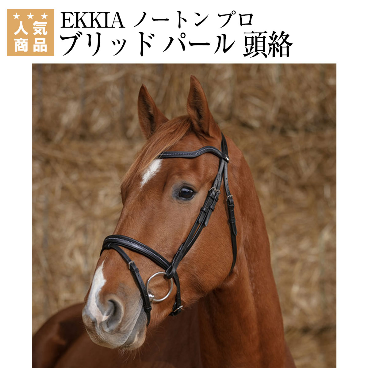 感謝報恩 乗馬 頭絡 額革 WALDHAUSEN -ROSE GOLD- 水勒頭絡 セット