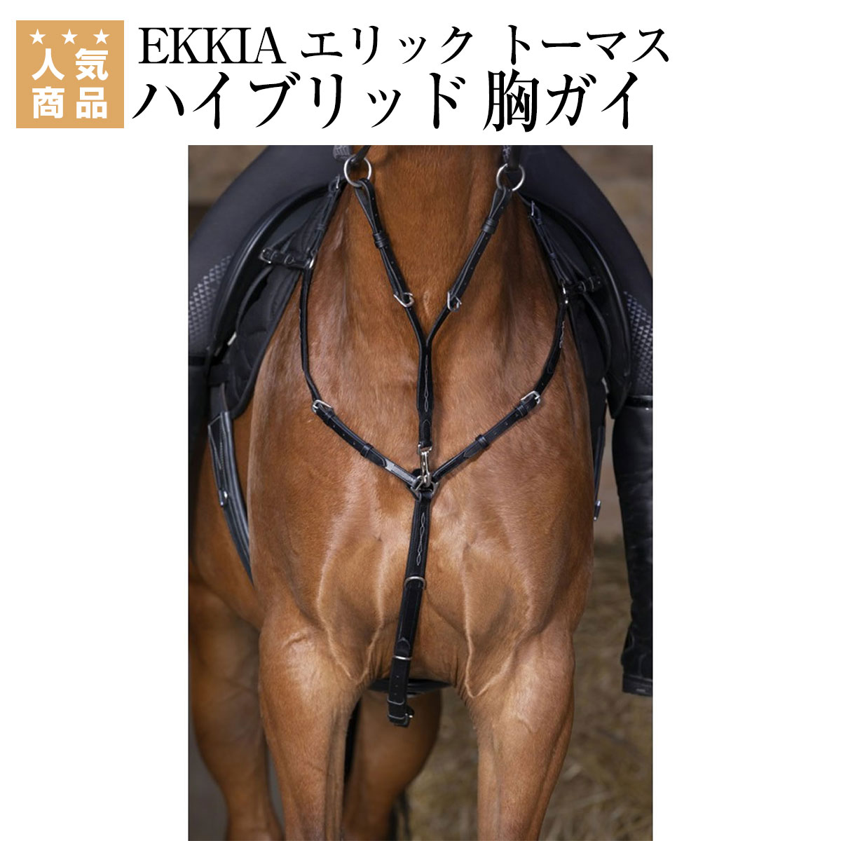 楽天市場】乗馬 手綱 胸ガイ EKKIA ノートン プロ 折り返し手綱 乗馬用品 馬具 : 乗馬用品専門店ジョセス