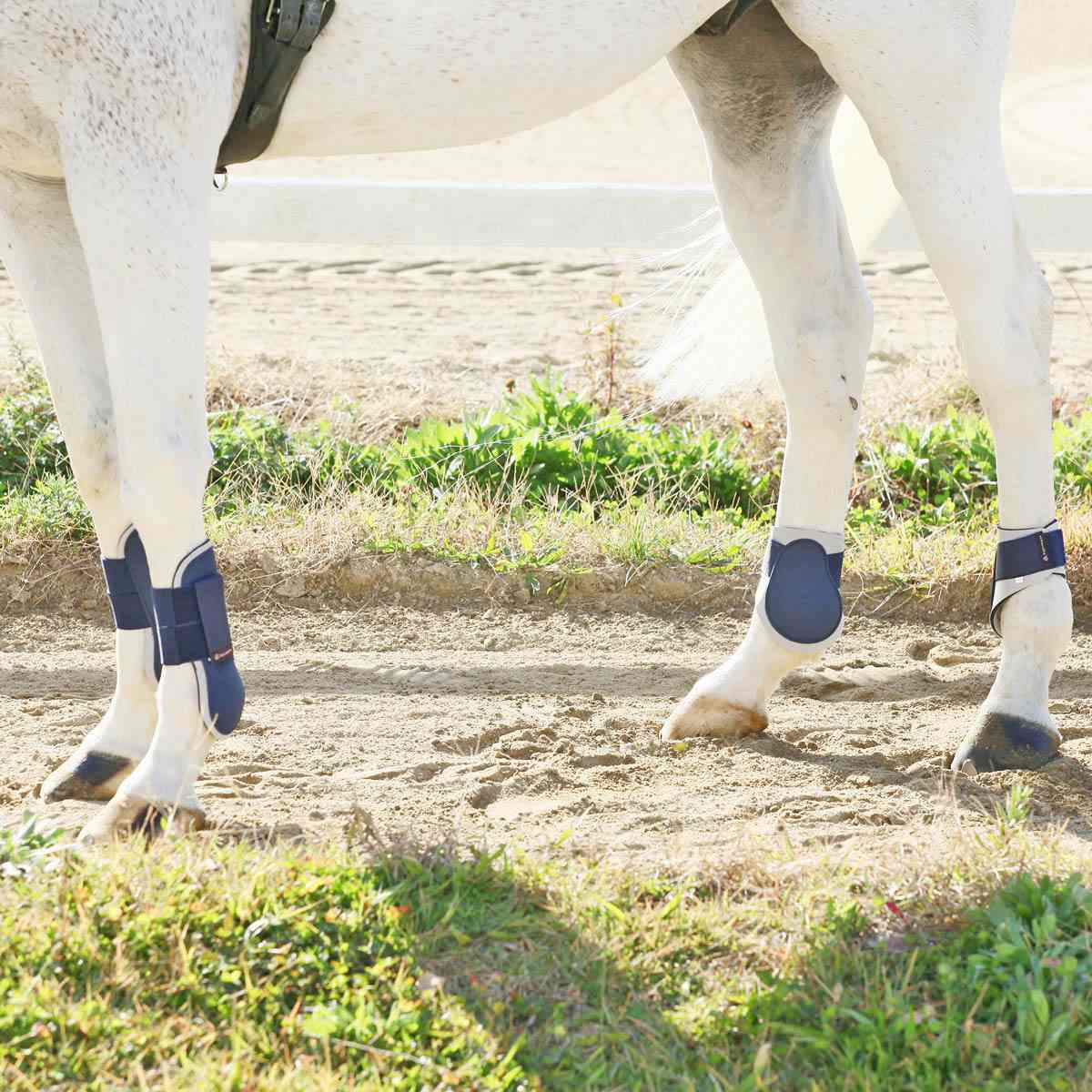 【楽天市場】乗馬 馬用 肢 プロテクター 前肢 後肢 左右 4肢 セット 乗馬用品 馬 用 馬具 用品 初心者 ビギナー 競技 エクリベルタ