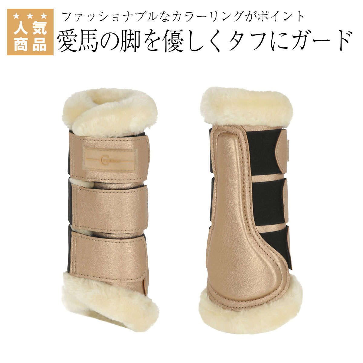 乗り馬 プロテクター ボア付添人 金属的 プロテクター 成型 ひとまとまり 乗馬所用もの 馬具 Ladylibertybrands Com